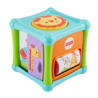 Cubo Animaizinhos Divertidos Fisher Price BFH80 - Mattel