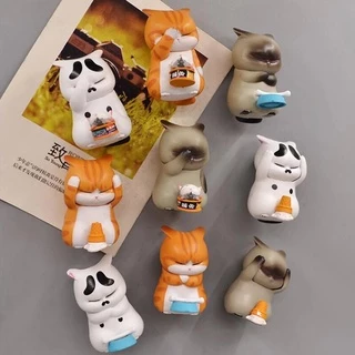 Gatinho Fofo Irritado Angustiado em 3 Situações - Decoração estilosa Cat Kawaii
