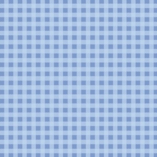 Tecido Círculo - Xadrez Azul e Branco - 1m x 1,50m - 426440.2585