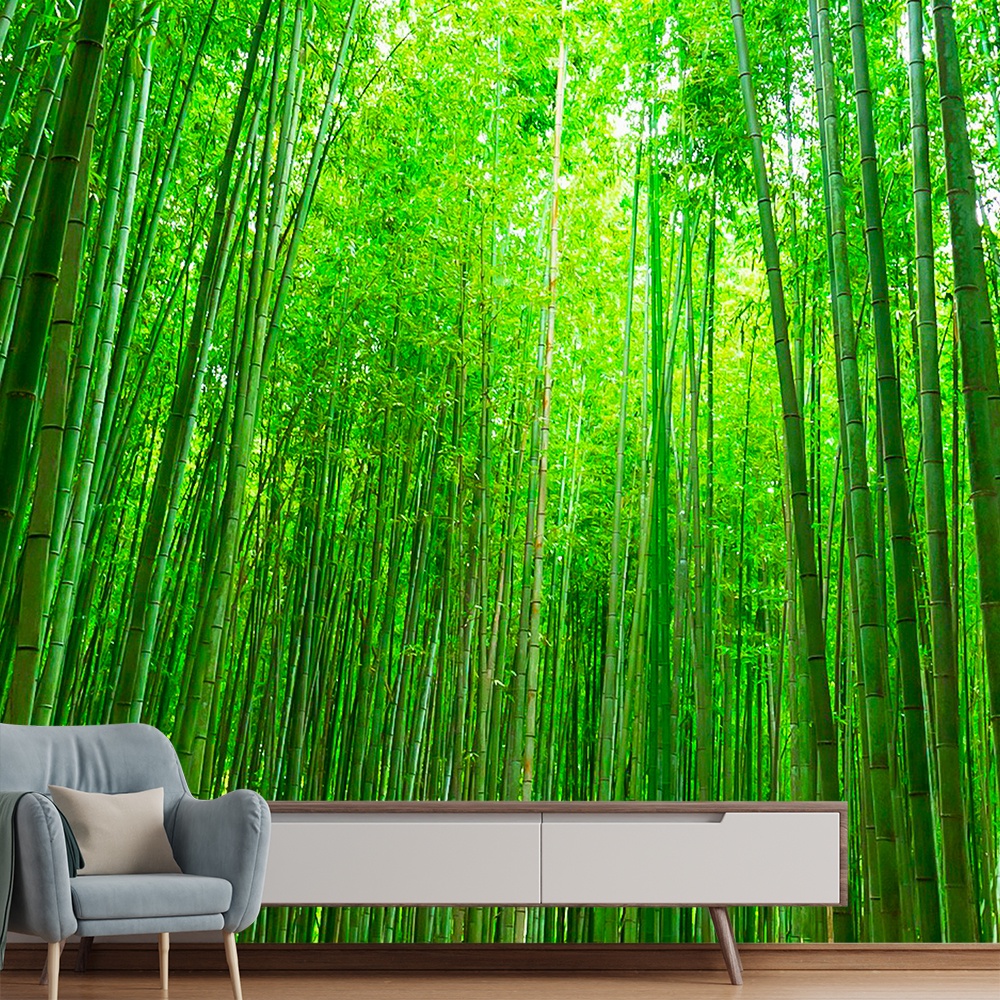 Floresta De Bambu Fluxo De água Folha De Bambu Pingos De Chuva Paisagem  Natural Fundo Na Chuva, Floresta De Bambu Na Chuva, Cenário Natural,  Floresta De Bambu Imagem de plano de fundo
