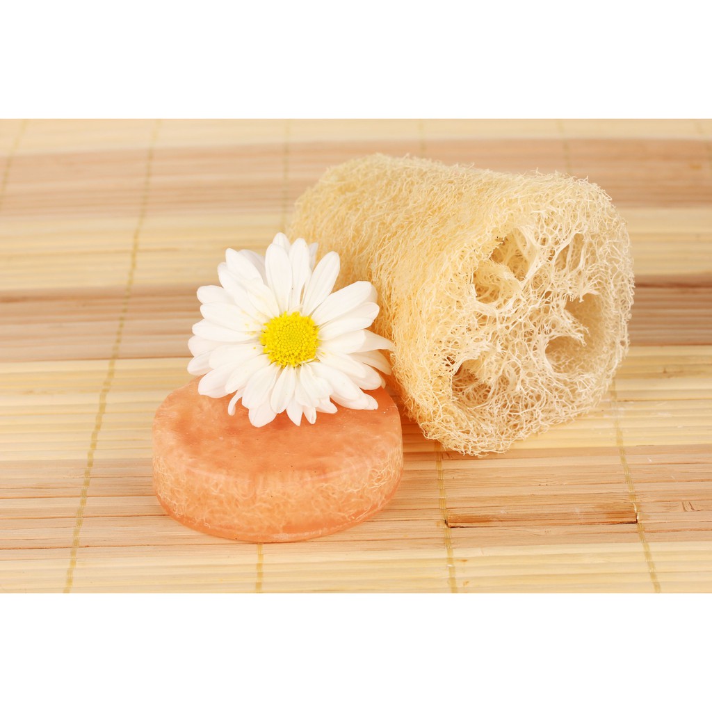 Esponja natural de luffa ecológica 100% - Fieito