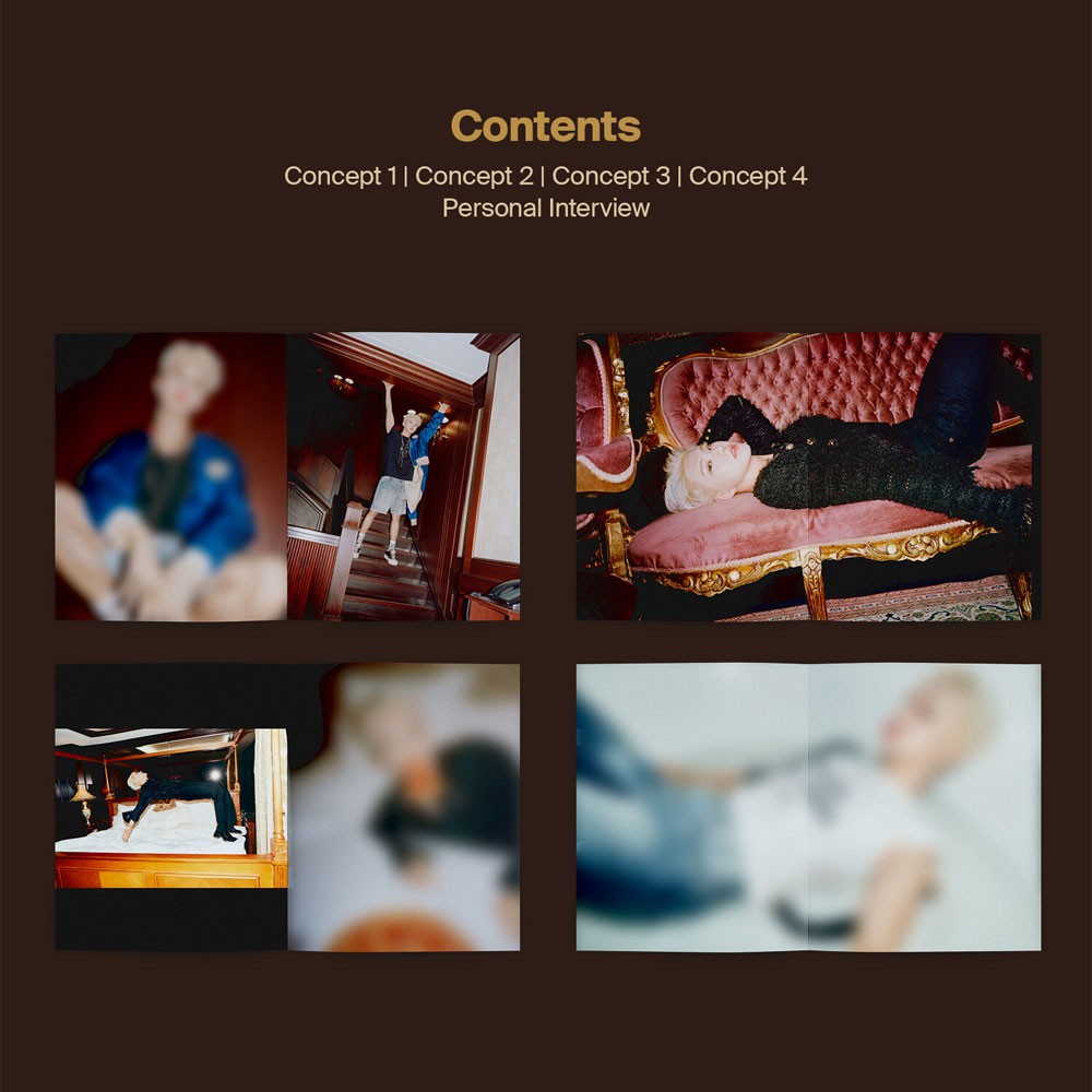 Seventeen - The Thirteen Tapes(TTT) - vol. 1/13 [HOSHI] | Shopee