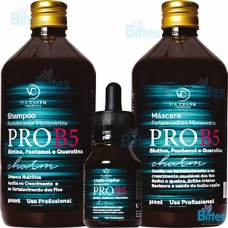 Kit Pro B5 Via Charm Cosméticos Fortalecimento Capilar