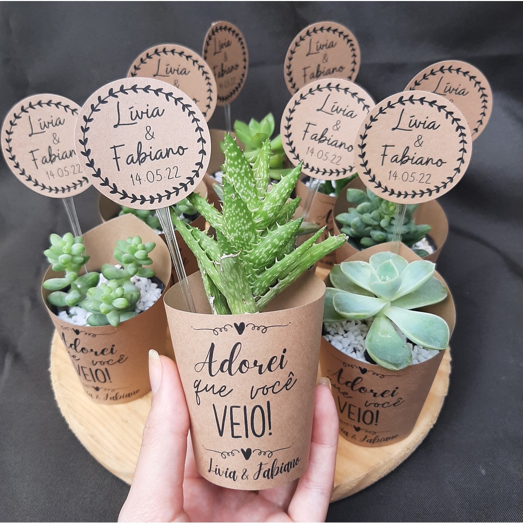 Rótulo + tag kraft para mini suculentas | casamento