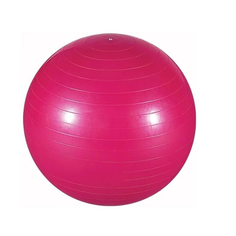 Bola Suiça Para Pilates - 65cm