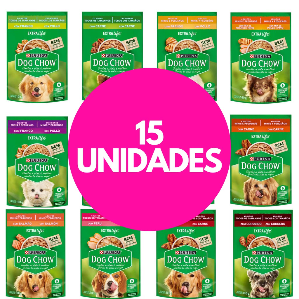 Caixa Sachê Purina Dog Chow Adulto Todos Tamanhos Carne 100g - Outros Pets  - Magazine Luiza