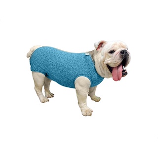 Roupa Protetora Pós Cirúrgica Buldogue Inglês Pet Med GG - Azul