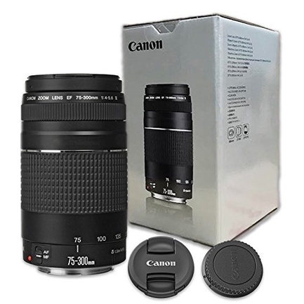 Canon EF 75-300mm sold f/4-5.6 Ultrasonic