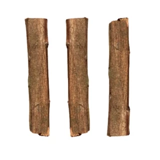 Pacote com 12 Unidades de Toquinho de Sansão para o Cultivo de Orquídeas