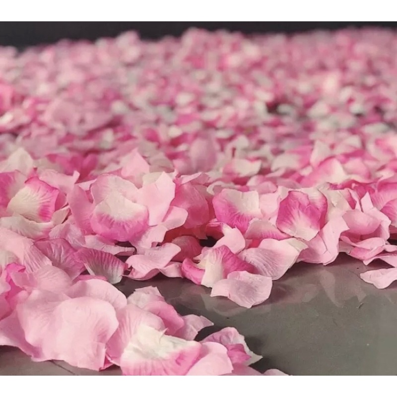 100 Pétalas de rosas branco e rosa | Shopee Brasil