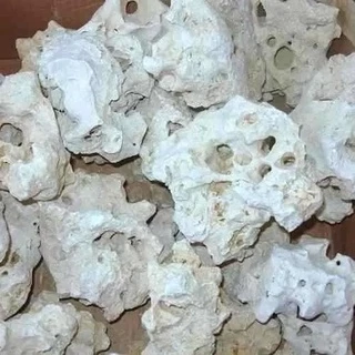 Rocha Natural Sansibar