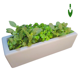 Vaso Floreira P/ Plantas 37cm Jardineira Pequena P/ Flores