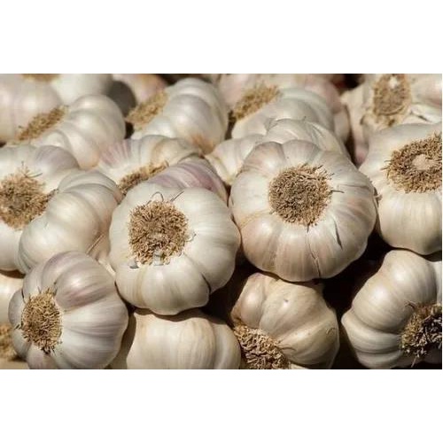 Alho bf Nacional Plntio Ou Consumo 500g | Shopee Brasil