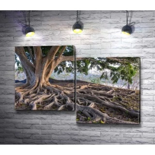 Quadros Decorativos árvore raízes Decoração De Quarto e Sala árvore raízes folhas verdes Kit 2pcs