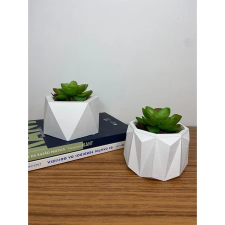 Kit 2 Unidades Vaso decorativo de Gesso Texturizado para Suculentas Cactus e Plantas
