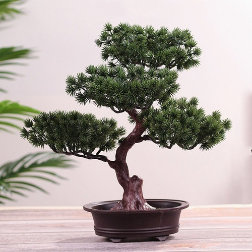 BONSAI出品 Bonsai Artificial Pinheiro Japones Jp325 | Shopee Brasil