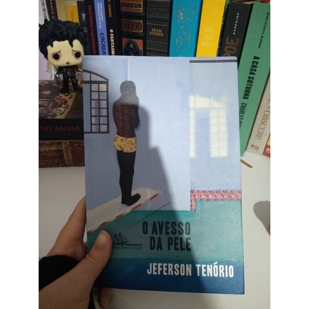 O Avesso da Pele - Seminovo | Shopee Brasil