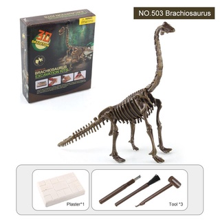 3d Dinossauro Dinossauro Kit de Escavação Fóssil Kit Educacional  Arqueologia Requintado Brinquedo Conjunto Jogo Interativo Jogo Conjunto De  Dinossauro Modelo esqueleto