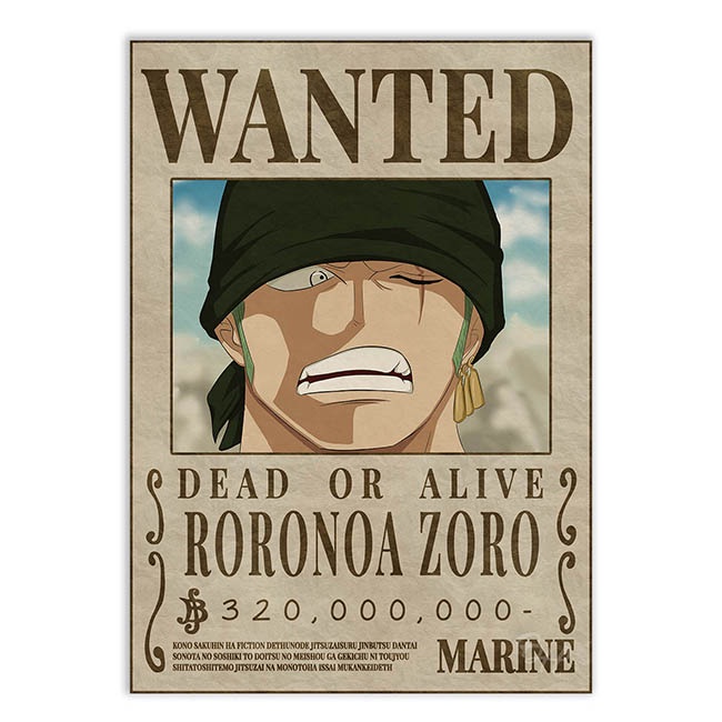 PLACA DECORATIVA ONE PIECE ZORO