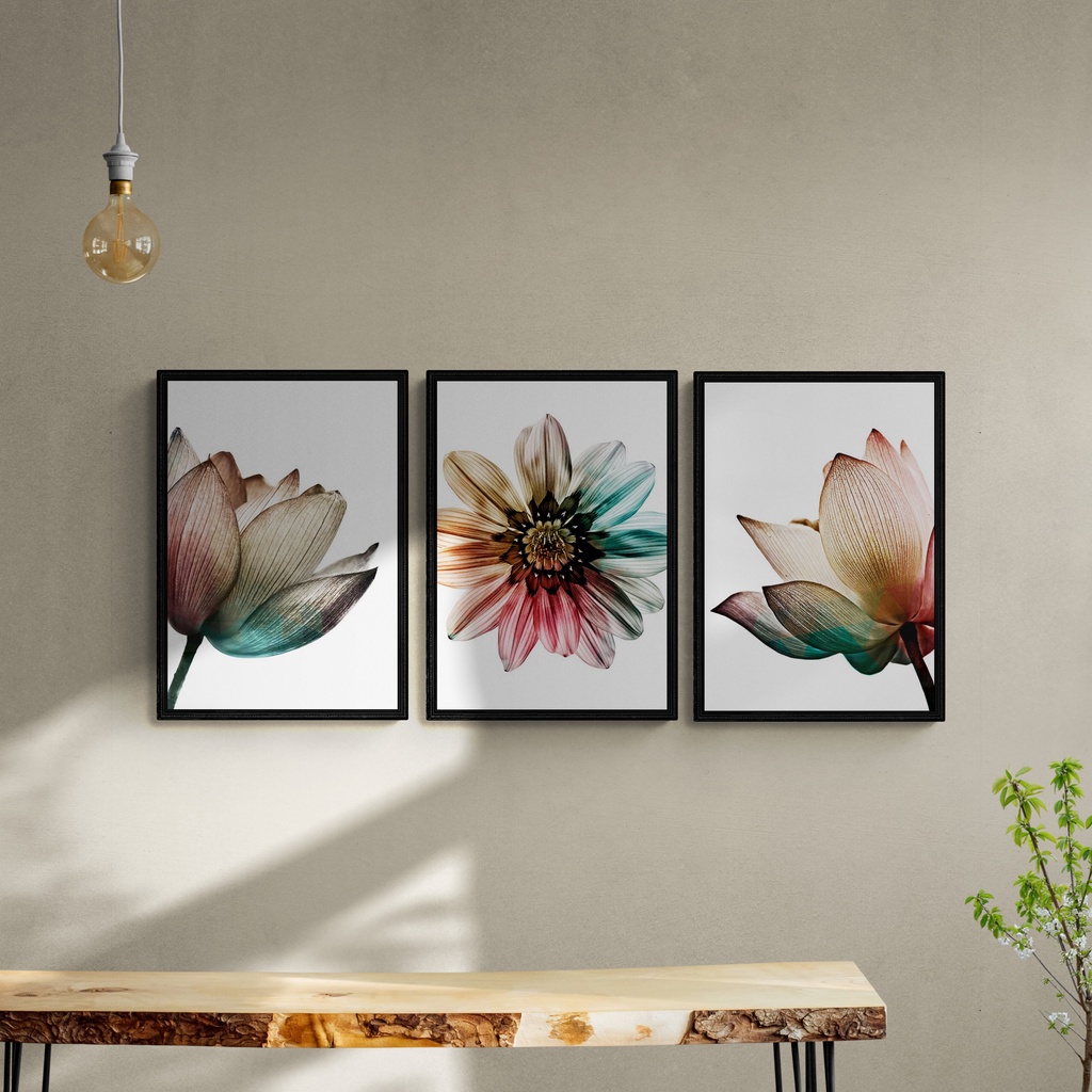 Kit 3 Quadros Decorativos Flores Coloridas Elegante Sala Quarto 42cm x 60cm