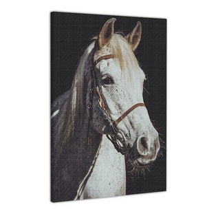 Cavalo Com Crina Branca Desenho Arte Quadro Canvas 60x40cm