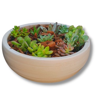 Vaso Bacia de Cerâmica para Arranjos de Cactos e Suculentas 33 x 10cm Cor Palha