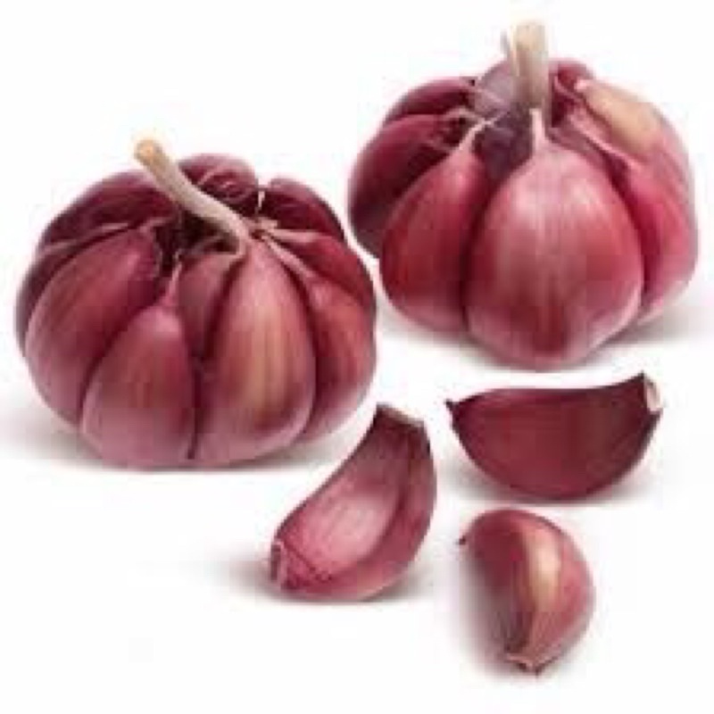ALHO NACIONAL 1 KG | Shopee Brasil