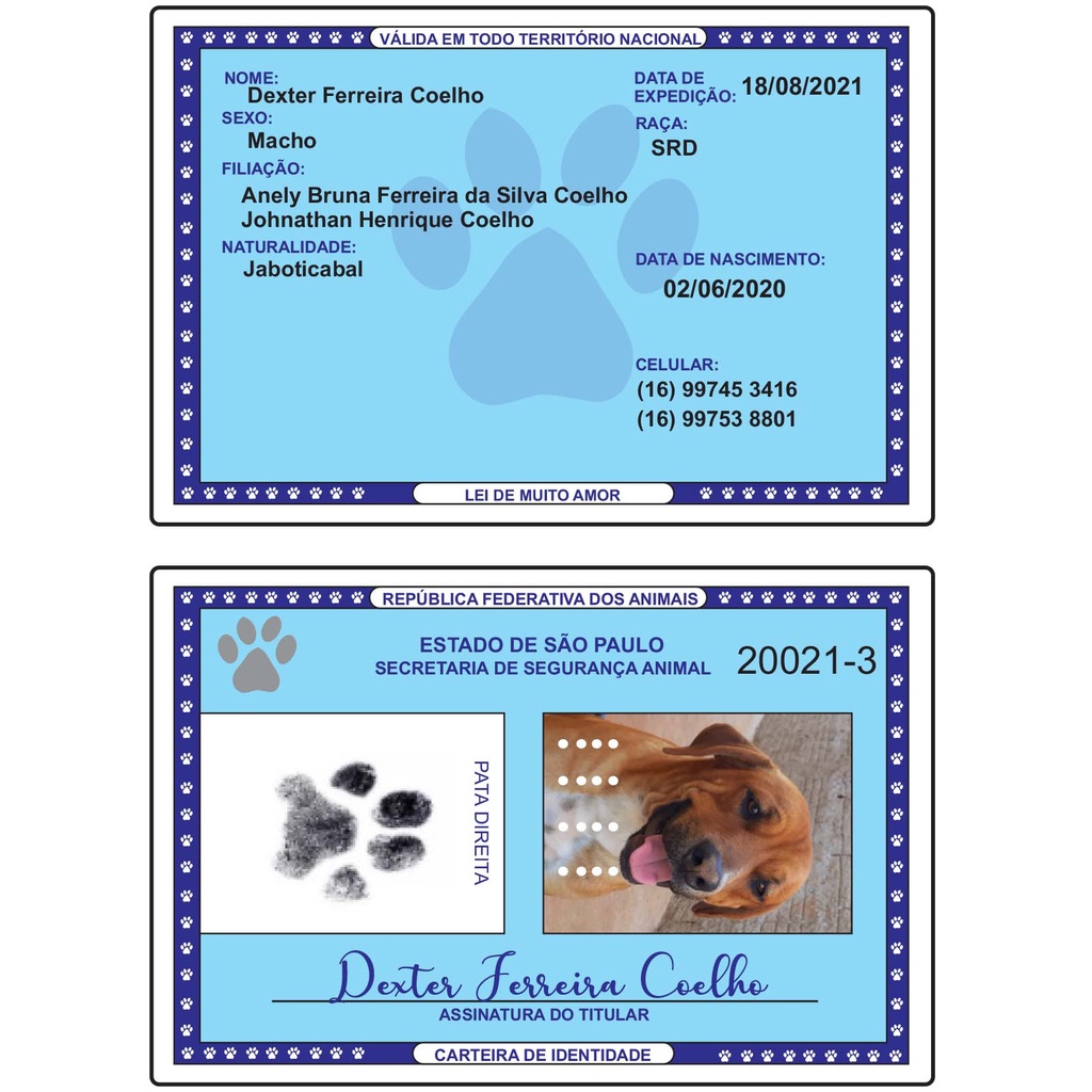 Documento Rg Pet Identidade Pet Cachorro Gato Estimação - Impresso e ...