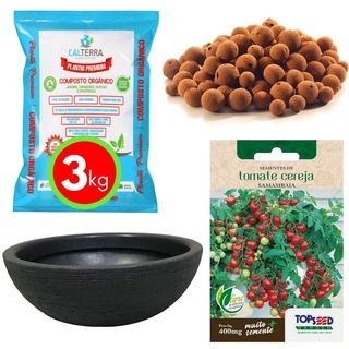 Kit Horta Plantio Fácil de Tomate Cereja e Bacia Preta