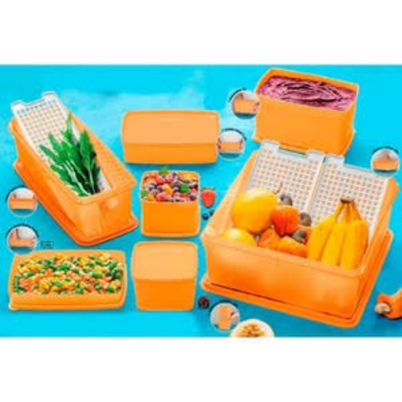 Tupperware Kit Organização De Freezer Congelador Pda Bea N1