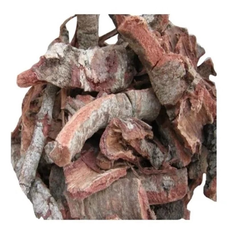 Casca De Cajueiro Pra Chá 1 Kg Natural Legítimo | Shopee Brasil