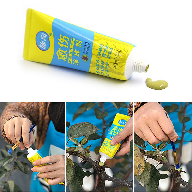 100g Árvore Das Tree Wound Bonsai Corte Escura Com Escova | Shopee Brasil
