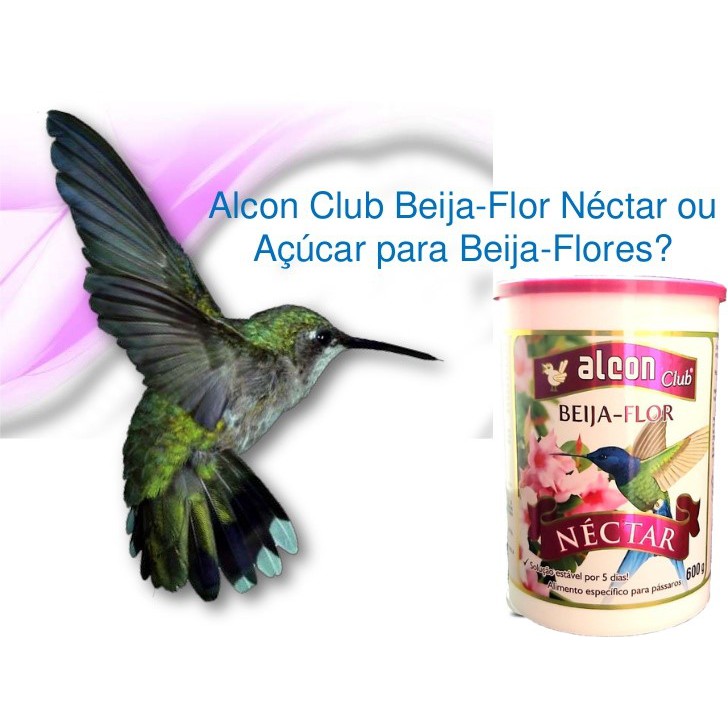 Alcon Club Néctar Beija-Flor - Agropet Girassol