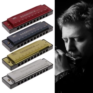 Luckyx Gaita Instrumento Musical Com 10 Furos Em C