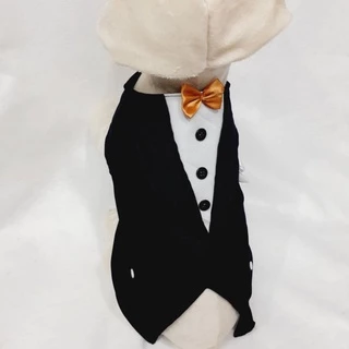 Roupa pet, fantasia pet Terno casamento pet,caes e gatos,