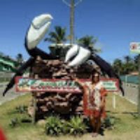 meyrecasaes