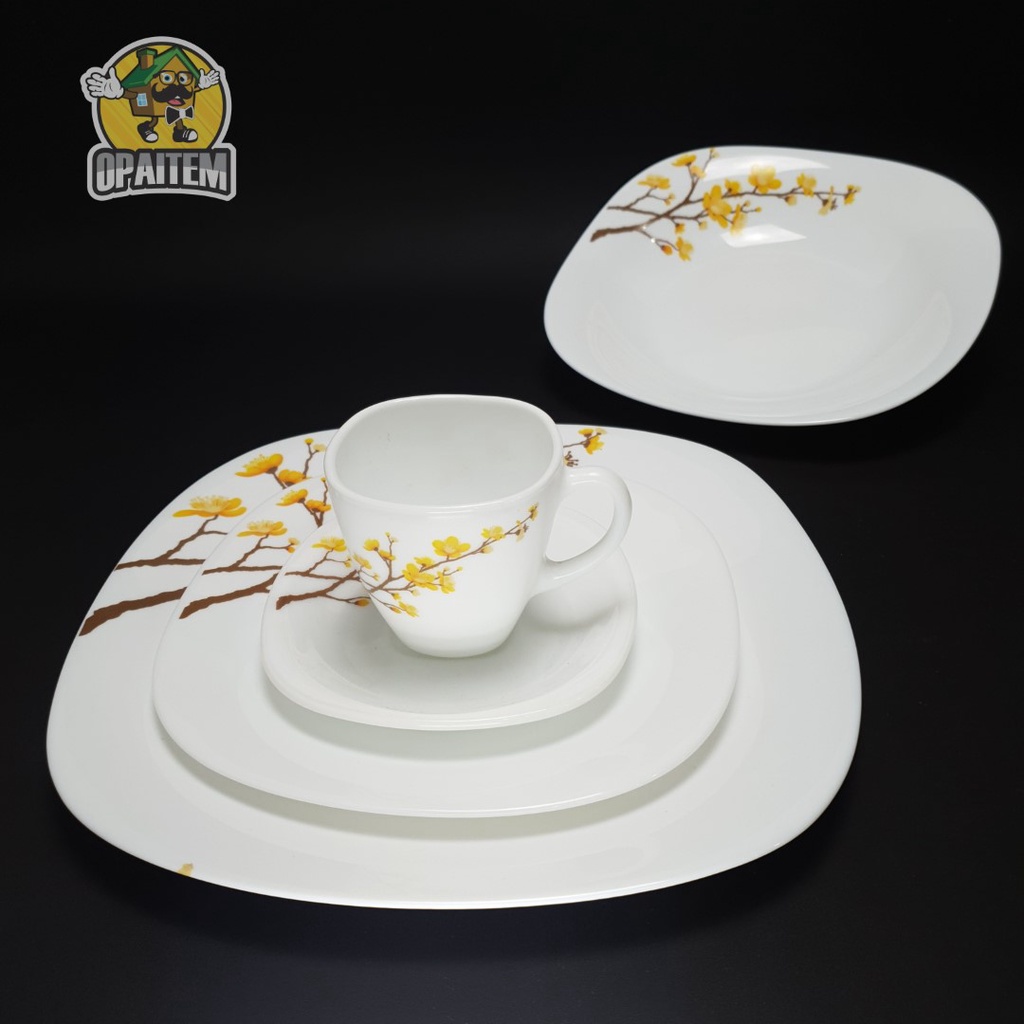 Aparelho de Almoço / Jantar Estampado Opaline C/ 20 Und