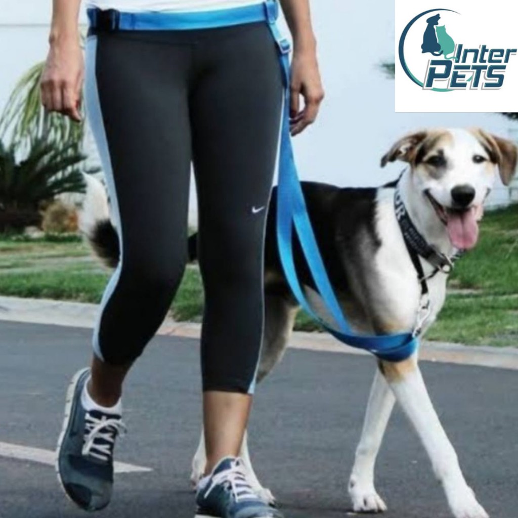 Guia Regulável Para Passear E Correr Com Seu Cachorro - Mãos livres ...
