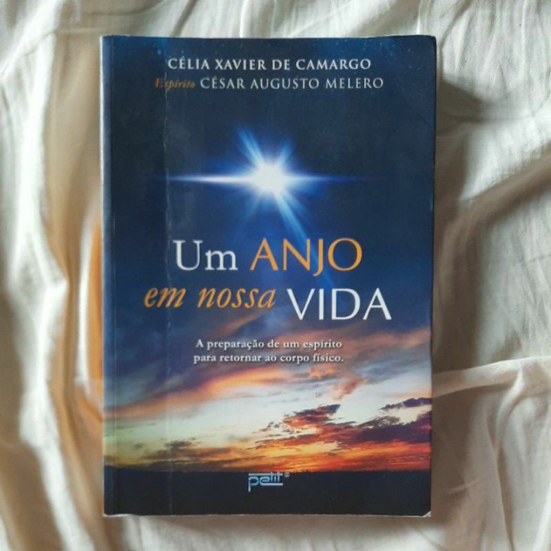 Livro - Um anjo em nossa vida por Célio Xavier de Camargo. | Shopee Brasil