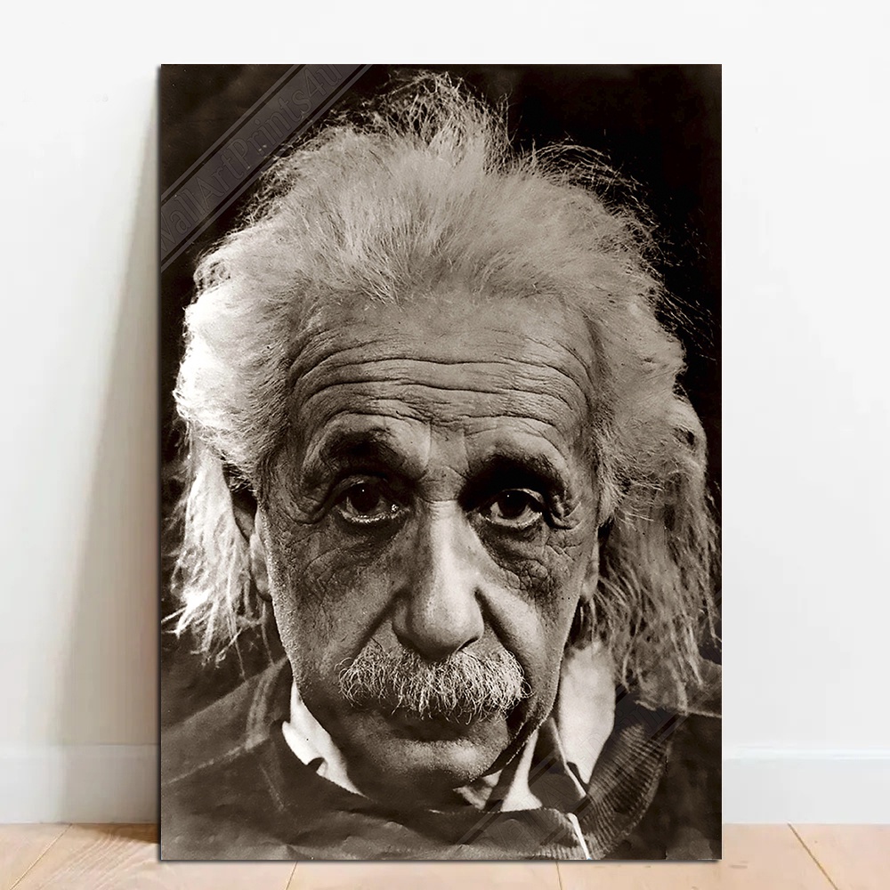 Quadro Decorativo Albert Einstein em MDF 28x20cm | Shopee Brasil