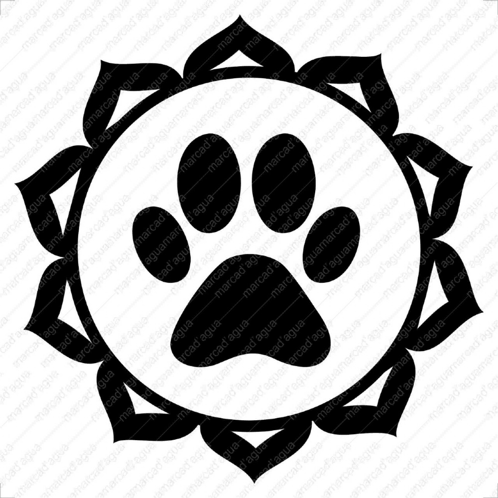 Pets - Diagnóstico dos chakras animais em pvc e chakra braquial ...