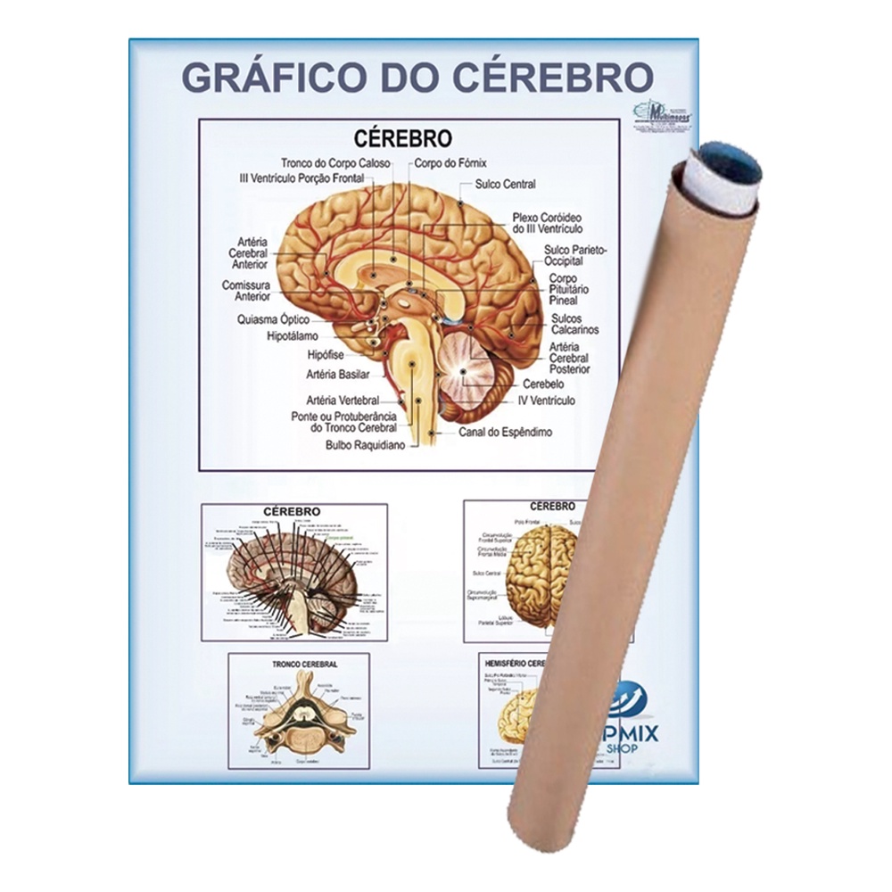 Treinando o cérebro com passatempos Coquetel para aumentar sua memória