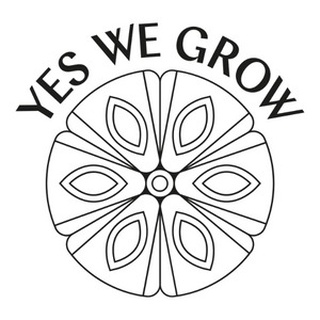 Guia de Cultivo Completo: Melissa » Yes We Grow