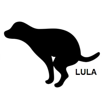 Adesivo Lula ladrão 10 x 14,5 Cm