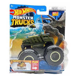 Pista HOT WHEELS Monster Truck Desafio Acrobático (Idade Mínima: 4 Anos -  43 x 11 x 25,5 cm)