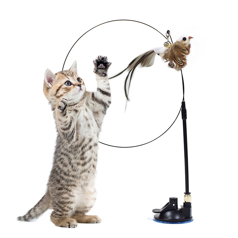 Gatos vara chaser varinha brinquedo interativo jogos gato teaser varinha  brinquedo leve melhorar as relações do animal de estimação para casa  acessórios para animais de estimação - AliExpress