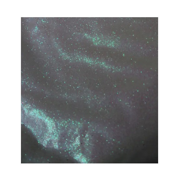 20g Glitter Irisadofurta cor 008 Maquiagens, unhas, resinas