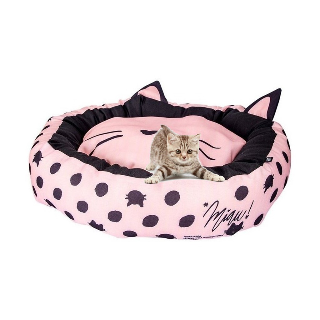 Eu Amo Gatos - (📸 @gatilemcasa) Aqui contabilizei, uma cama queem