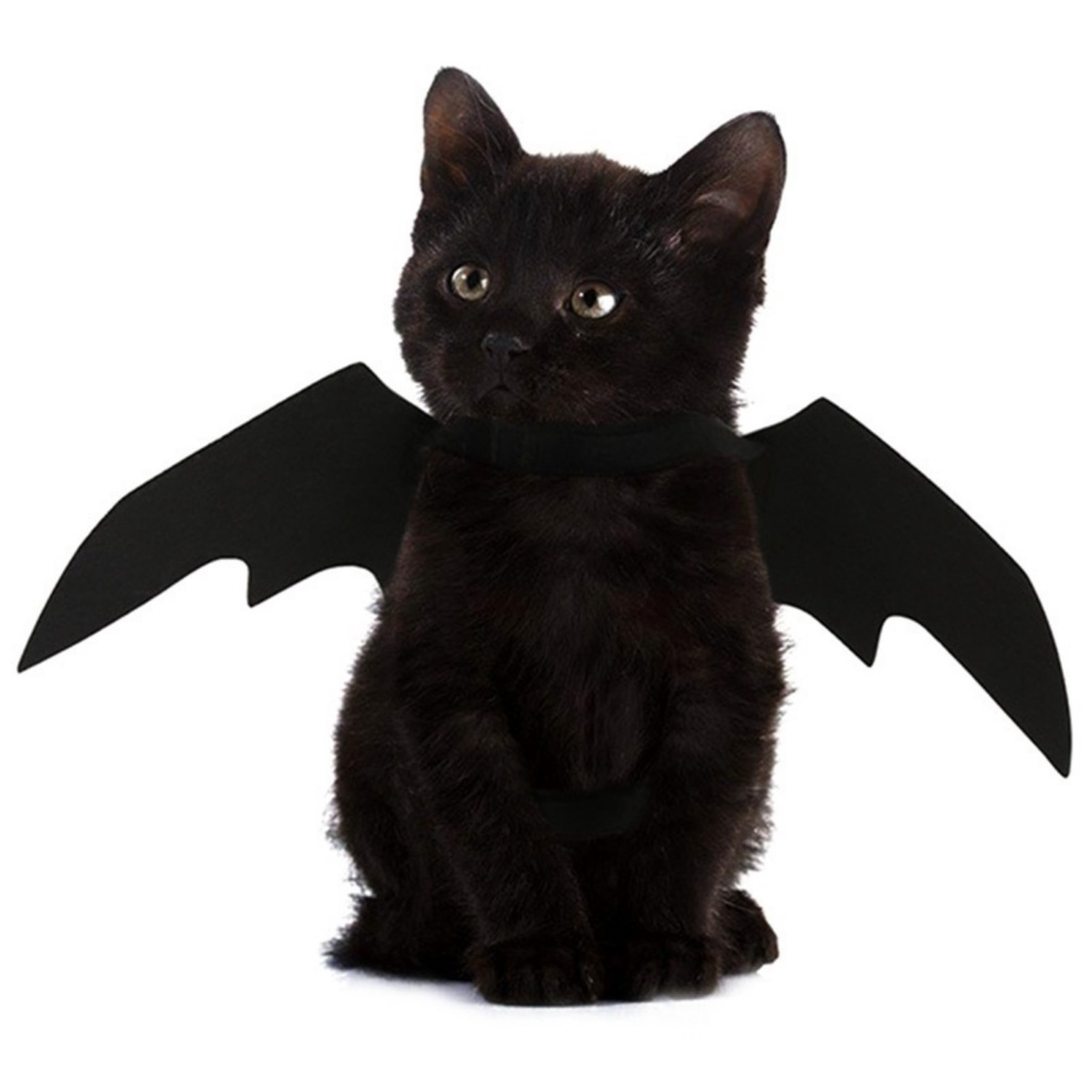 Fantasia Asa De Morcego Banguela Halloween Para Gato Cachorro Pet Dog Cat Dia das Bruxas