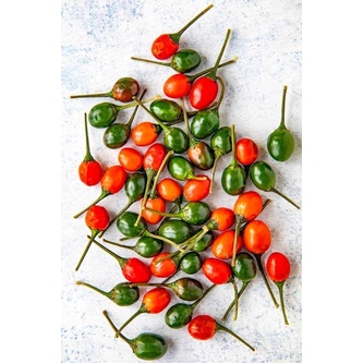 Pimenta Comari Cumari Verdadeira! Sementes 30/40 Passarinho